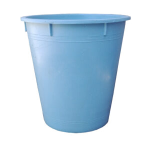 C1
