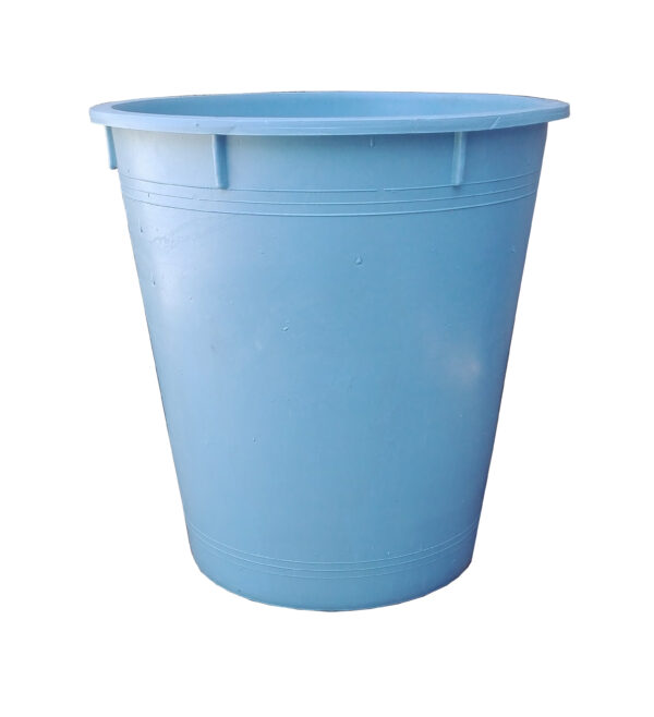 C1