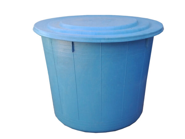 D1 - Image 2