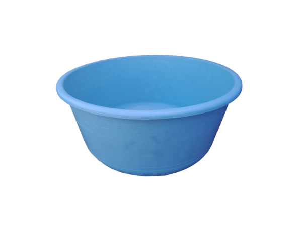 T2